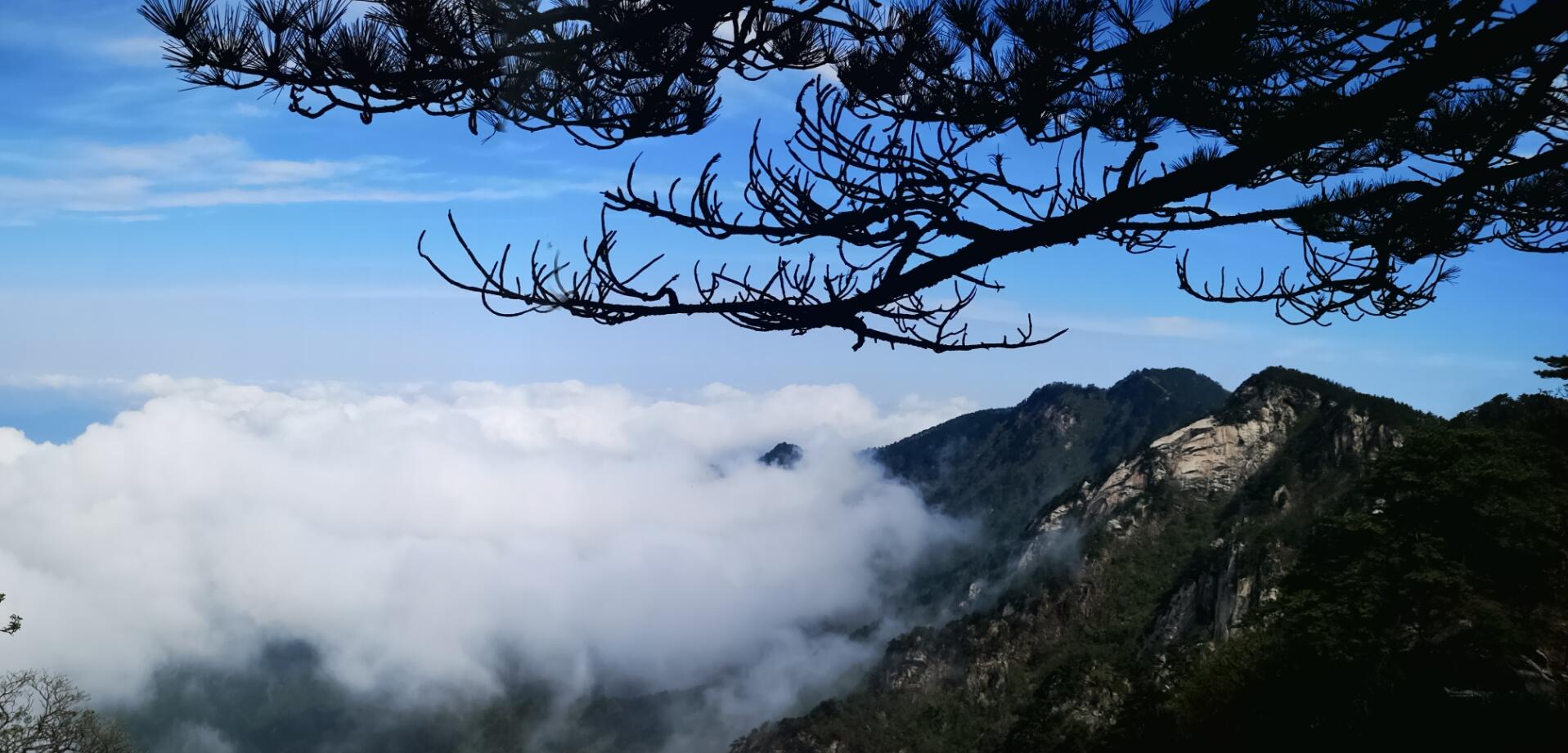 ˵-Ȩȫƽ̨