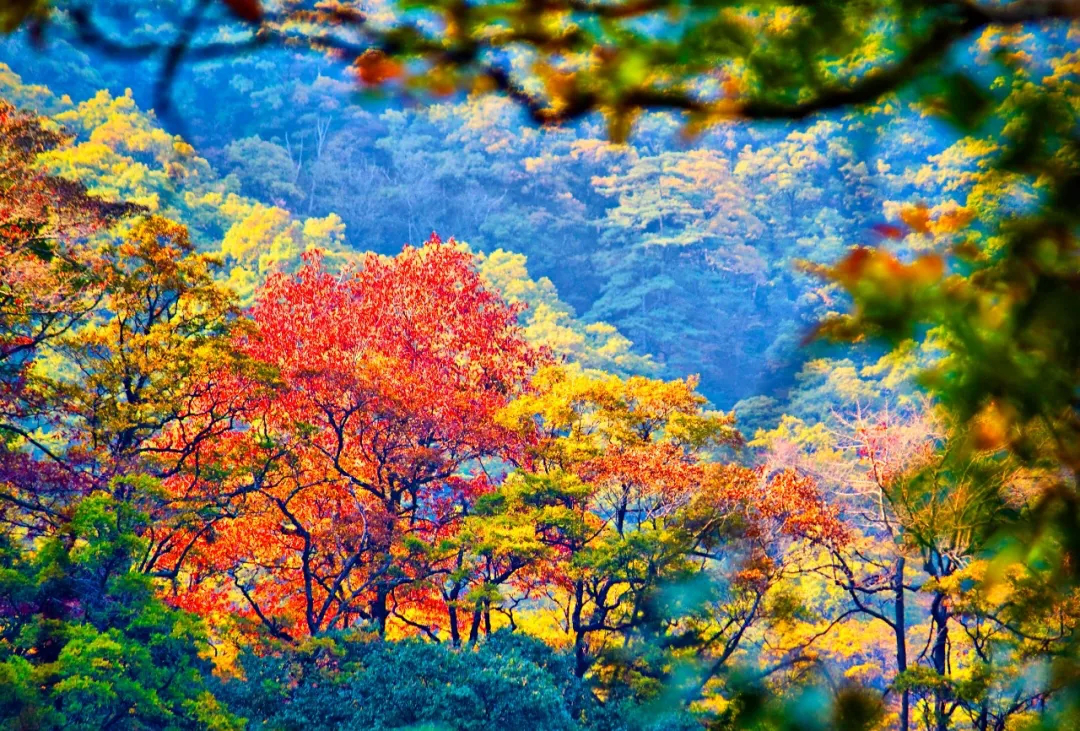 ˵-Ȩȫƽ̨