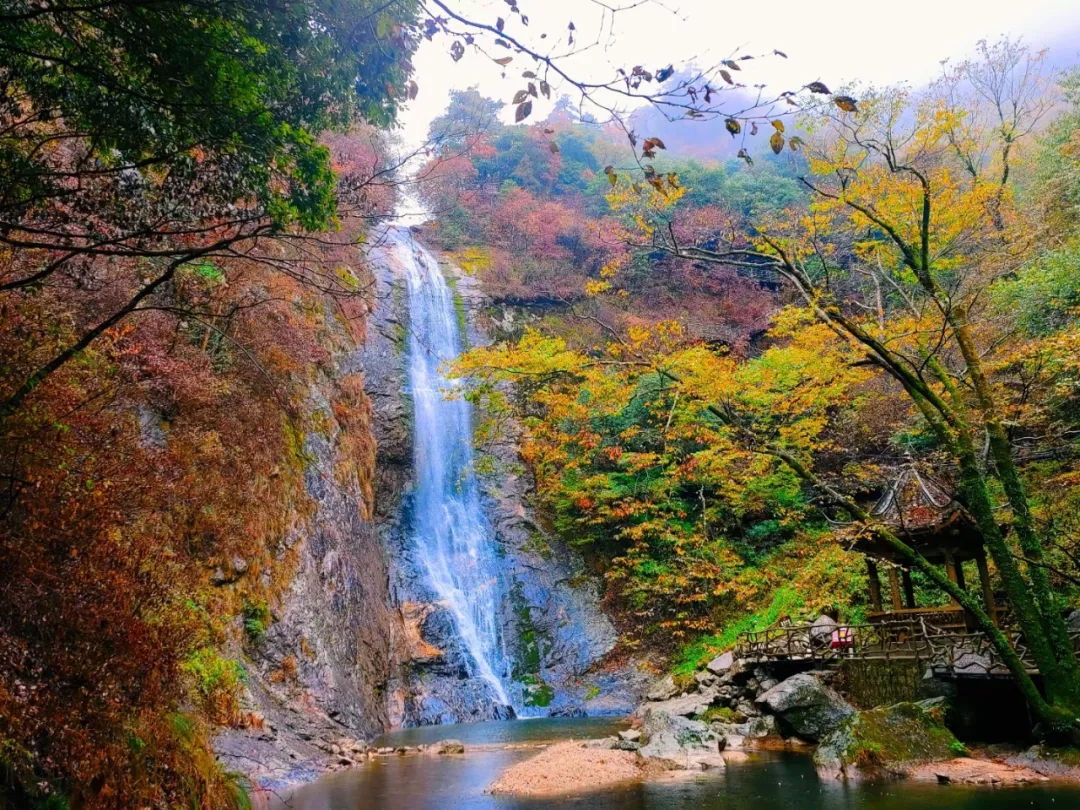 ˵-Ȩȫƽ̨